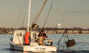 A photo of men on a fishing boat retrieving fishing gear